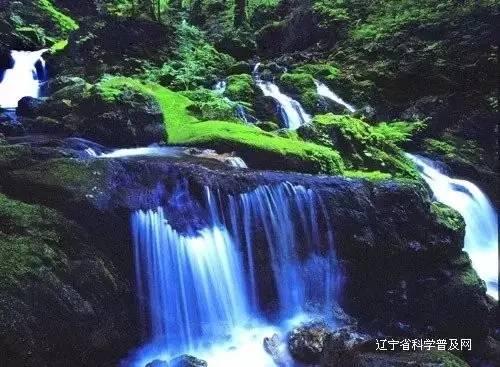 惊悚的万圣节拼图